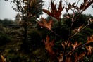 Καιρός: Πτώση θερμοκρασίας, βροχές και καταιγίδες -Άνεμοι έως 8 μποφόρ στα πελάγη