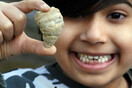 Boy finds fossil up to 500m years old in his West Midlands garden