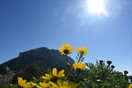 Καιρός: