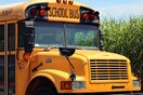 ΗΠΑ: Ελάφι πέρασε μέσα από παρμπρίζ σχολικού λεωφορείου και έπεσε σε μαθητή που κοιμόταν