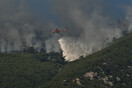 Πυρκαγιά σε δασική έκταση στο Άγιο Όρος- Μεγάλη κινητοποίηση της πυροσβεστικής 