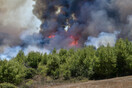 Φωτιά στη Σάμο: Στις φλόγες δασική έκταση στο Βαθύ