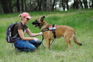 WWF: Μία γυναίκα και ο σκύλος της δίνουν καθημερινή μάχη με τα δηλητηριασμένα δολώματα 