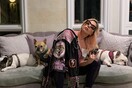 Lady Gaga: Five arrested in dognapping case