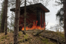 Σουηδία: Φωτισμός που μοιάζει με φωτιά σε δάσος: Τόσο ρεαλιστικός που κάλεσαν την πυροσβεστική (Εικόνες)