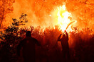 Χαρδαλιάς: Η φωτιά ξεκίνησε από καύση υπολοίπων σε ελαιώνα - «Στάχτη» 20.000 στρέμματα 