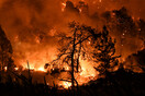 Φωτιά στην Κορινθία: Για δεύτερο 24ωρο μάχη με τις φλόγες - Σε πλήρη εξέλιξη και με πολλές εστίες η πυρκαγιά