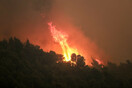 «Κοπέρνικος»: Το πύρινο μέτωπο και οι περιοχές που έκαψε η φωτιά στο Σχίνο Κορινθίας, από δορυφόρο