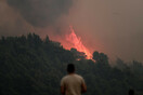 Χαρδαλιάς: Η φωτιά έχει κάψει πάνω από 40.000 στρέμματα στην Κορινθία 