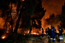 Φωτιά στην Κορινθία: Σε διάσπαρτα μέτωπα η πυρκαγιά - Ολονύχτια μάχη με τις φλόγες