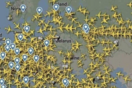 Τα αεροπλάνα αποφεύγουν τον εναέριο χώρο της Λευκορωσίας (εικόνα)