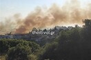 Θεσσαλονίκη: «Συναγερμός» για πυρκαγιά στην Πυλαία - Κοντά σε σπίτια
