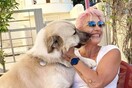 10 νέες φωτογραφίες απ' τα τέλεια ζώα των αναγνωστών μας #681