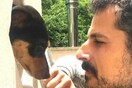 10 νέες φωτογραφίες απ' τα τέλεια ζώα των αναγνωστών μας #682