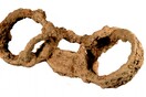 Εντοπίστηκε αλυσοδεμένος σκελετός - Η πρώτη σπάνια απόδειξη ύπαρξης σλάβων στη Ρωμαϊκή Βρετανία