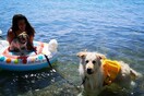10 νέες φωτογραφίες απ' τα τέλεια ζώα των αναγνωστών μας #688