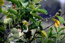 Άστατος καιρός και πτώση θερμοκρασίας σήμερα- Βροχές και σποραδικές καταιγίδες