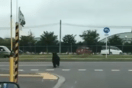 Bear shot dead after rampage through Sapporo in Japan