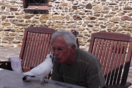 Μια ασυνήθιστη φιλία: Γάλλος συνταξιούχος πηγαίνει παντού με ένα περιστέρι (Βίντεο)