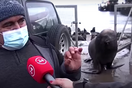 Viral βίντεο με θαλάσσιο ελέφαντα που διακόπτει συνέντευξη στη Χιλή 