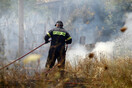 Φωτιά στον Ωρωπό- Ισχυρές δυνάμεις της πυροσβεστικής στην περιοχή