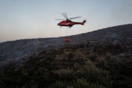 Πυρκαγιά στη Χασιά στον δήμο Φυλής 