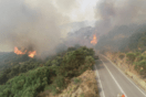 Φωτιά στη Χίο: Εκκενώθηκαν τρεις οικισμοί - Οι φλόγες απείλησαν σπίτια στο χωριό Κατάβαση