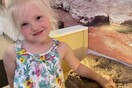 Ουαλία: Σε έκθεση το απολιθωμένο αποτύπωμα δεινοσαύρου 200 εκατ. ετών που ανακάλυψε 4χρονη