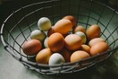 Ανάκληση χιλιάδων κοτόπουλων και «βιολογικών» αυγών