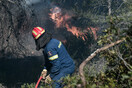 Φωτιές σε Χαλκιδική, Εύβοια και Επίδαυρο- Μεγάλη επιχείρηση της Πυροσβεστικής