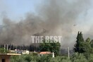 Φωτιές στην Πάτρα - Καίγονται σπίτια: Χτυπούν καμπάνες για να φύγει ο κόσμος