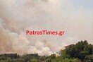 Νέα φωτιά, κοντά στην Πάτρα- Εντολή εκκένωσης για προληπτικούς λόγους
