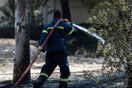 Φωτιά στη Βόνιτσα: Συνεχίζεται η μάχη με τις φλόγες, καλύτερη η εικόνα σήμερα