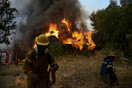 Χρυσοχοΐδης για φωτιά στην Αχαΐα – «Κατορθώσαμε να μην λάβει μεγαλύτερες διαστάσεις»