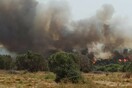 «Συναγερμός» για φωτιές σε Ρόδο και Αλεξανδρούπολη