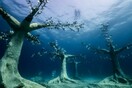 jason decaires taylor submerges intricate sculptural forest in the waters of ayia napa, cyprus