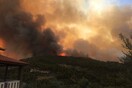 Λίμνη Εύβοιας: Η θάλασσα σταμάτησε τις φλόγες - Κάηκαν σπίτια, δέντρα, τουριστικές εγκαταστάσεις