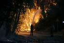 Χαρδαλιάς: 81 δασικές πυρκαγιές το τελευταίο 24ωρο- 40 ενεργά πύρινα μέτωπα