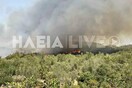 Ηλεία: Μεγάλη φωτιά στην Ηράκλεια- Προληπτική εκκένωση δύο οικισμών
