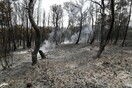 Ζάγκας: Η πρόληψη μπορεί να αποτρέψει το 99,5% των πυρκαγιών να γίνουν μέγα-πυρκαγιές