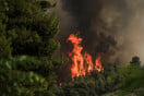 Φωτιά στην Εύβοια: Εκκενώθηκε το κάμπινγκ στην Αγία Άννα 