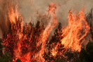 Στο Πειθαρχικό δικηγόρος για ανάρτηση για τις φωτιές- «Κάνω προσευχή και βουντού να καεί η Εκάλη και το Καστρί»