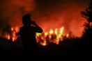 Κραυγή αγωνίας στην Εύβοια: «Αν δεν μας στείλουν εναέρια μέσα, η φωτιά θα καταλήξει στη θάλασσα»
