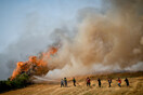 Χαρδαλιάς: 55 φωτιές ταυτόχρονα στην Ελλάδα - 39 οικισμοί έχουν εκκενωθεί στην Εύβοια