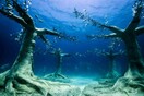Ένα μοναδικό υποβρύχιο μουσείο-δάσος στην Αγία Νάπα της Κύπρου