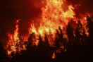 Φωτιά στη Γορτυνία: Μάχη να μην πάνε οι φλόγες σε Καπελίτσα, Λιβαδάκι και Τουμπίτσι