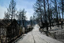 Πάνω από 930.000 στρέμματα κάηκαν φέτος στην Ελλάδα- Τρίτη στη Μεσόγειο