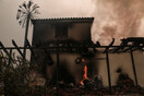 Φωτιά στην Εύβοια - Αντιδήμαρχος Μαντουδίου: «1.000 τα καμένα σπίτια μόνο στο δήμο μας»