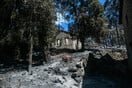 "Το Τατόι δεν είναι ένα παλάτι, είναι η καρδιά του Εθνικού Δρυμού και ανήκει σε όλους μας".