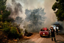 Φωτιά στον Ωρωπό: Ξέσπασε από κεραυνό- Σε εξέλιξη επιχείρηση της Πυροσβεστικής